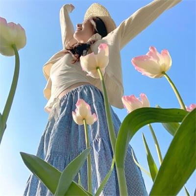 衰鸟向前冲