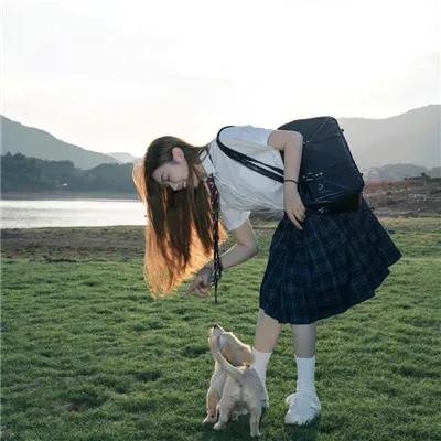浮宫魅影